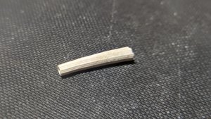 Scaphopod, fragment
