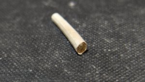 Scaphopod, fragment