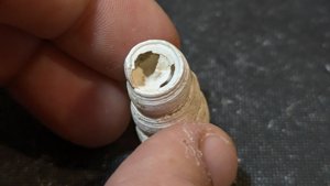 Gastropod, fragment