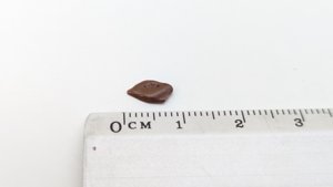 Scale - Measurement ~0.9cm