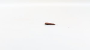 Scale