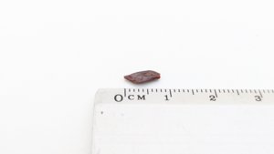Scale - Measurement ~0.8cm
