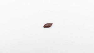 Scale