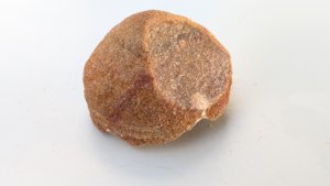 Stromatolite