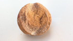 Stromatolite
