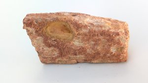 Fragment, bone or fossilized wood