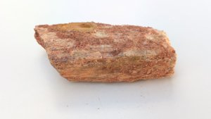 Fragment, bone or fossilized wood
