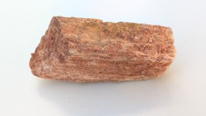 Fragment, bone or fossilized wood