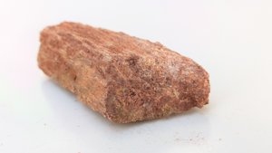 Fragment, bone or fossilized wood