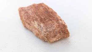 Fragment, bone or fossilized wood