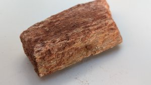 Fragment, bone or fossilized wood