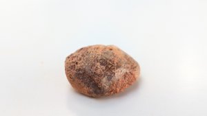 Bone fragment