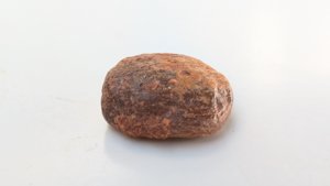 Bone fragment