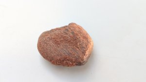 Bone fragment