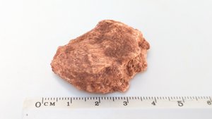 Fragment, bone or fossilized wood - Measurement ~3.5cm