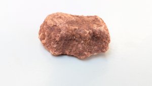 Fragment, bone or fossilized wood