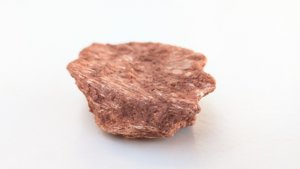 Fragment, bone or fossilized wood