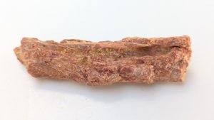 Fragment, bone or fossilized wood