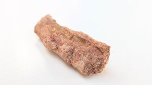 Fragment, bone or fossilized wood