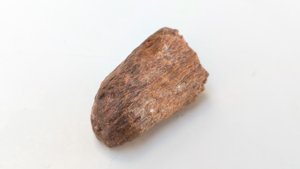 Bone fragment
