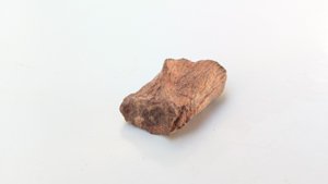 Bone fragment