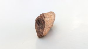 Bone fragment