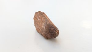 Bone fragment