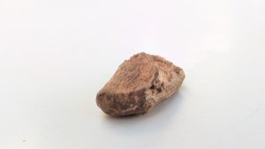 Bone fragment