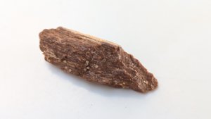 Bone fragment