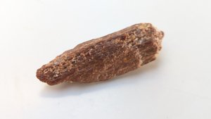 Bone fragment