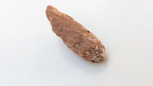 Bone fragment