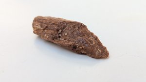 Bone fragment