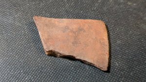 Turtle shell fragment