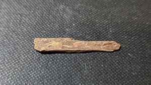 Bone fragment