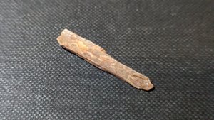 Bone fragment