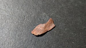 Unknown, perhaps bone fragment