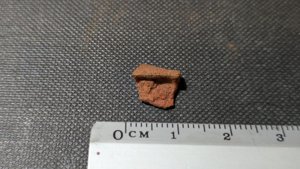 Unknown - Measurement ~0.8cm