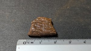 Turtle shell fragment - Measurement ~2cm