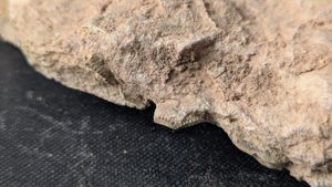 Unknown detail