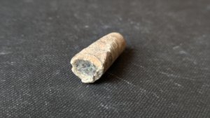 Orthoceratoid - ~3cm. Cross-section. The siphuncle can be seen.
