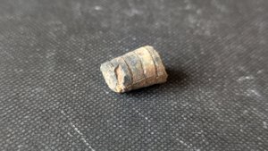 Orthoceratoid - ~1cm. The chamber walls can be seen.
