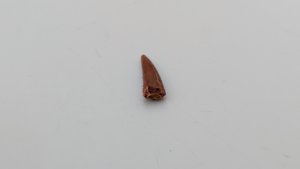 Tooth