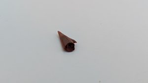 Sawfish rostrum tooth tip - The cross-section is round