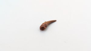 Tooth - Round cross-section