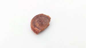 Vertebra, broken