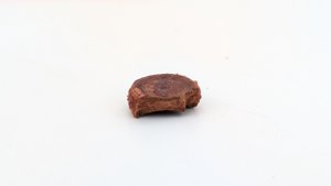 Vertebra, broken