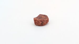 Vertebra, broken