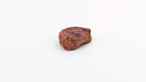 Vertebra, broken
