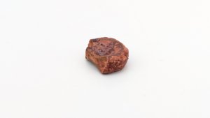 Vertebra, broken