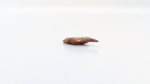 Scale